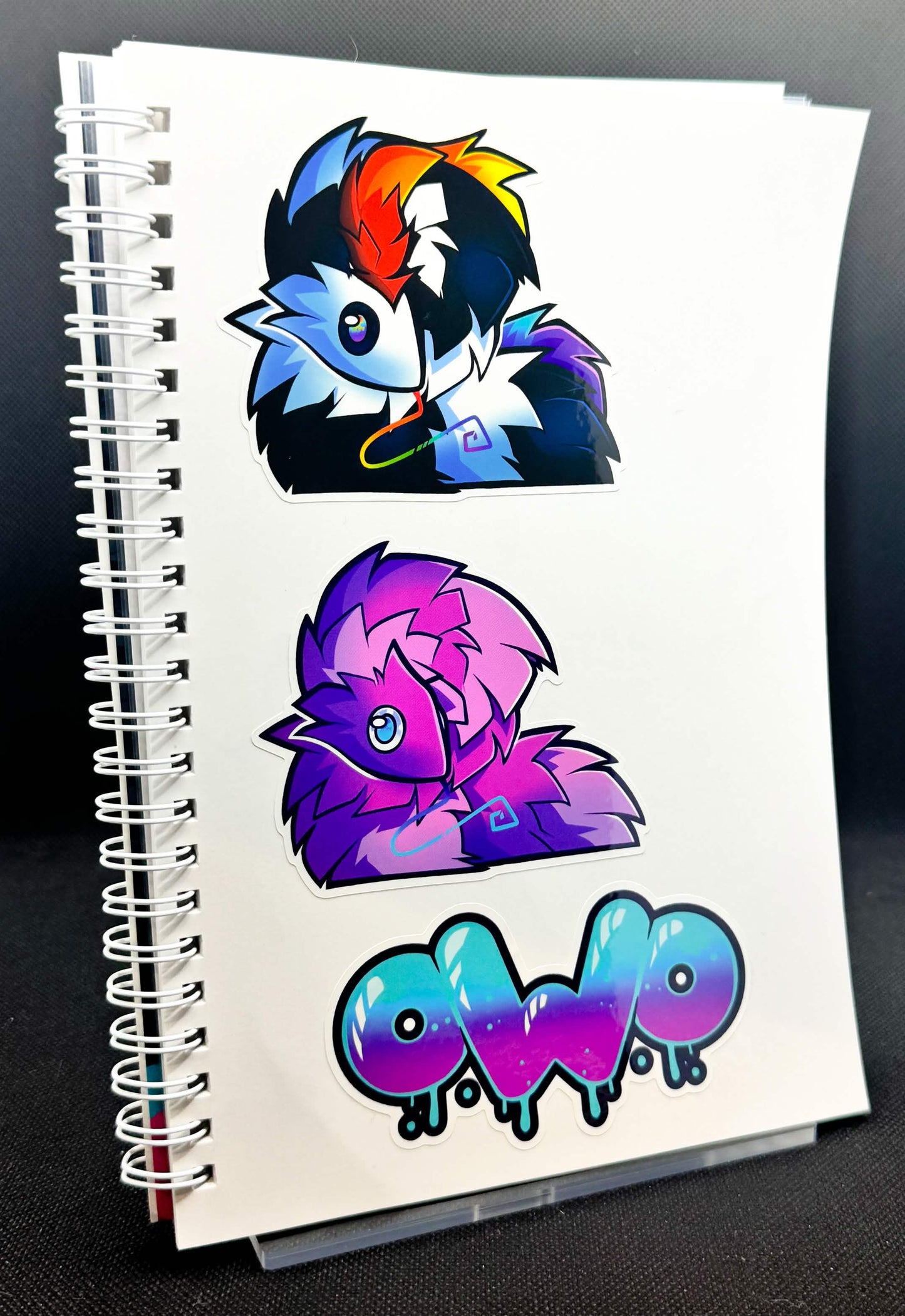 Reusable Sticker Book